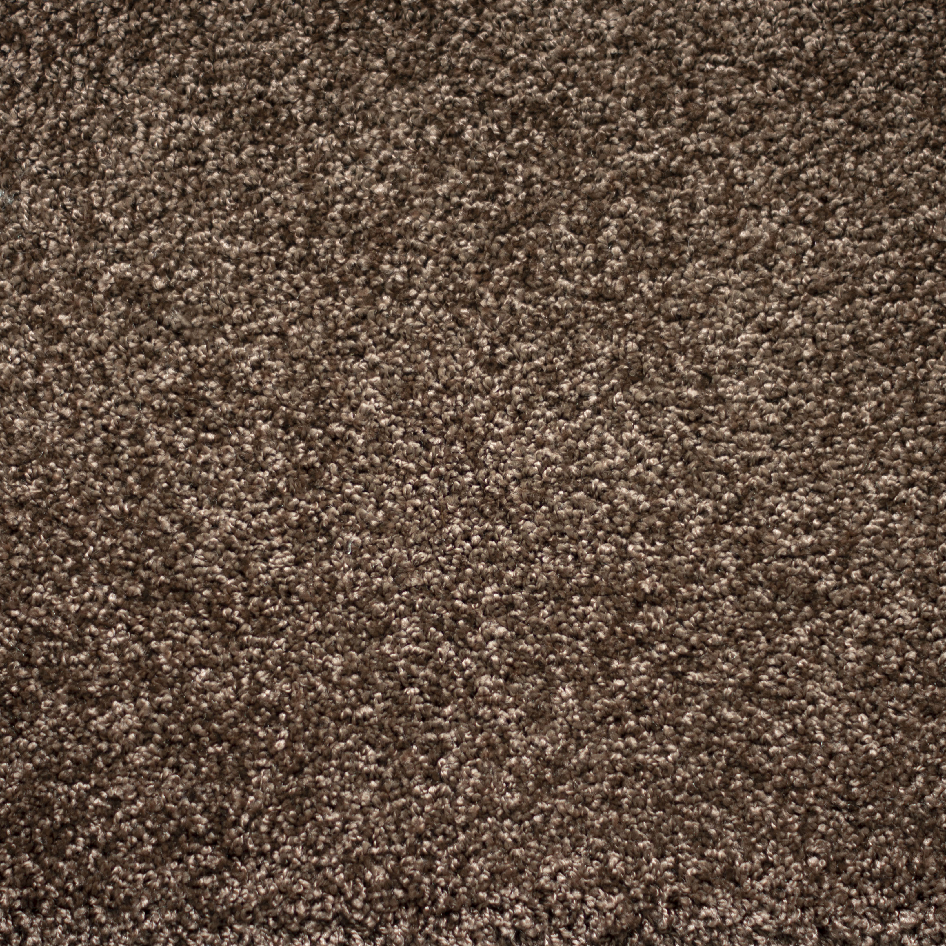 Ковролин "Зартекс" Tesoro 156 коричневый (4м) — купить в Пятигорске