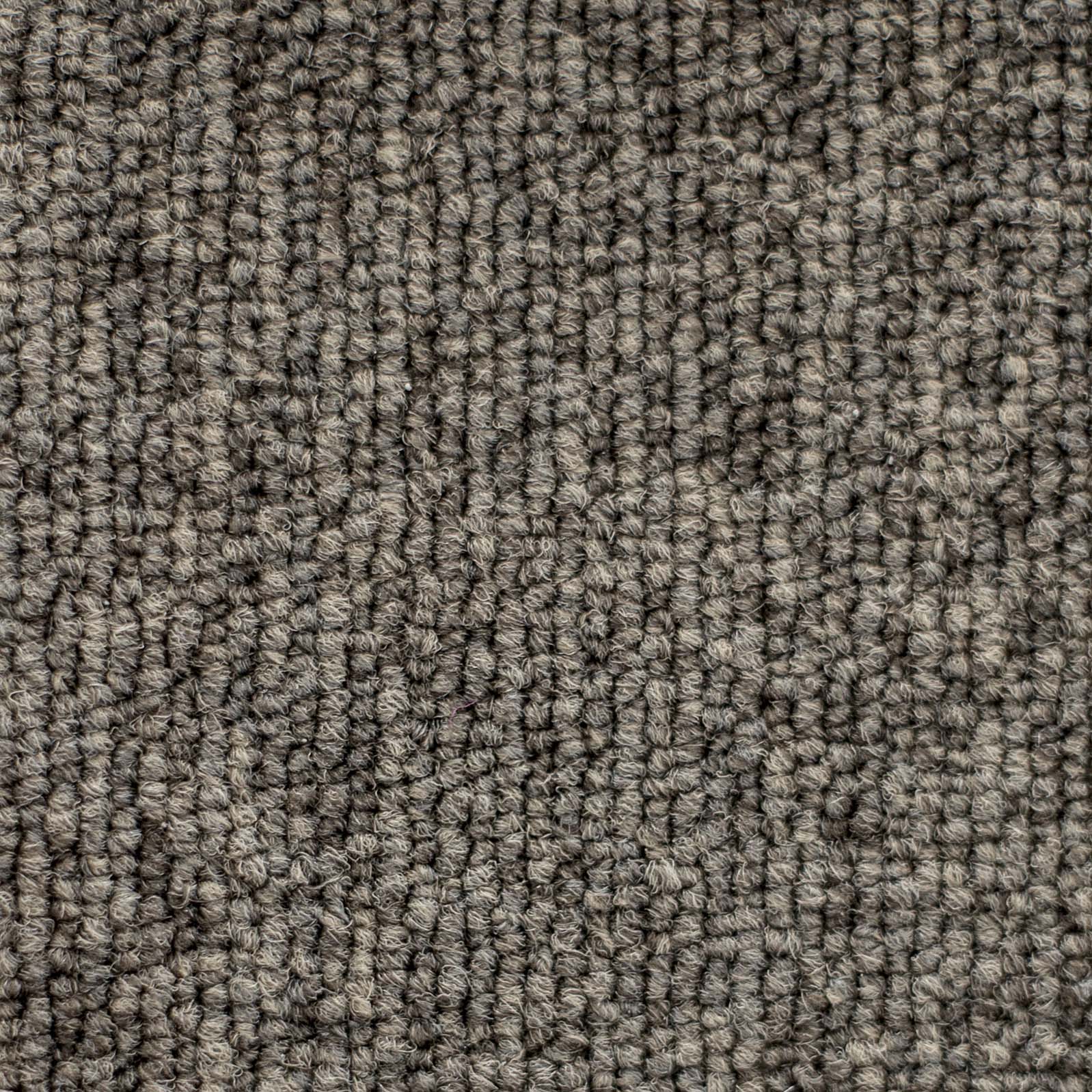 Ковролин "Зартекс" Daily 68 коричневый (4м) — купить в Пятигорске