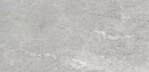 Керамогранит Конжак (Kondjak) 300*600 матовый элегант G261MR — купить в Пятигорске