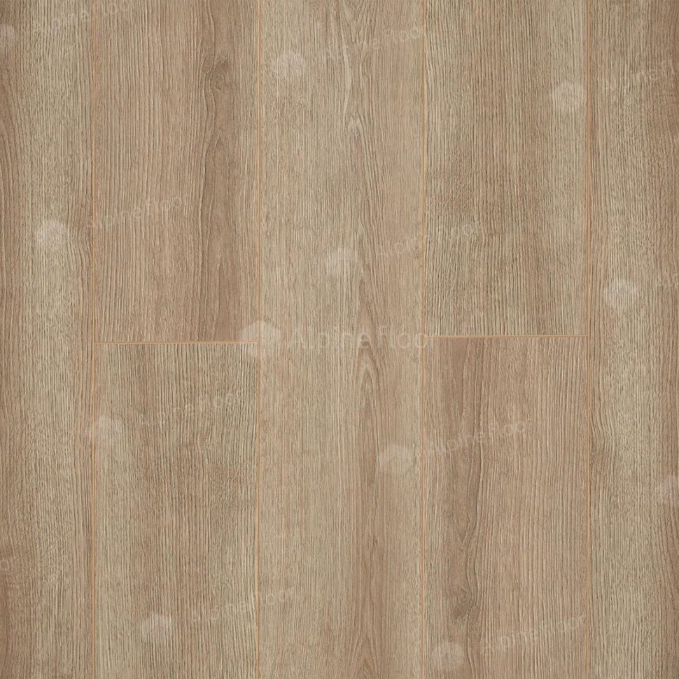 Ламинат "Camsan" Дуб Кашемир (1380*190*10 мм) — купить в Пятигорске