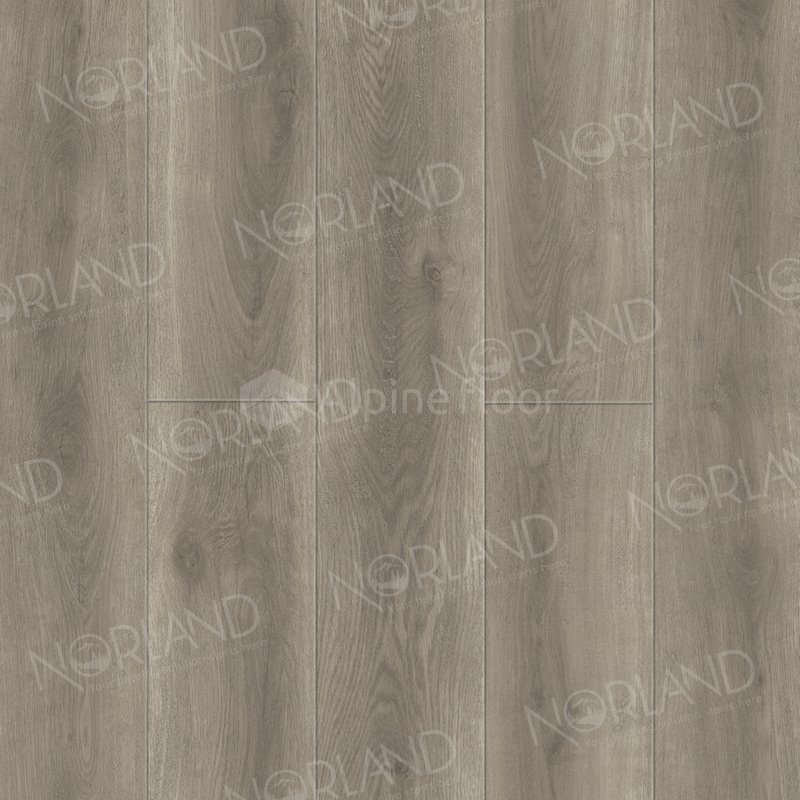 SPC Ламинат "Norland" Templet (1220*196*8 мм) — купить в Пятигорске