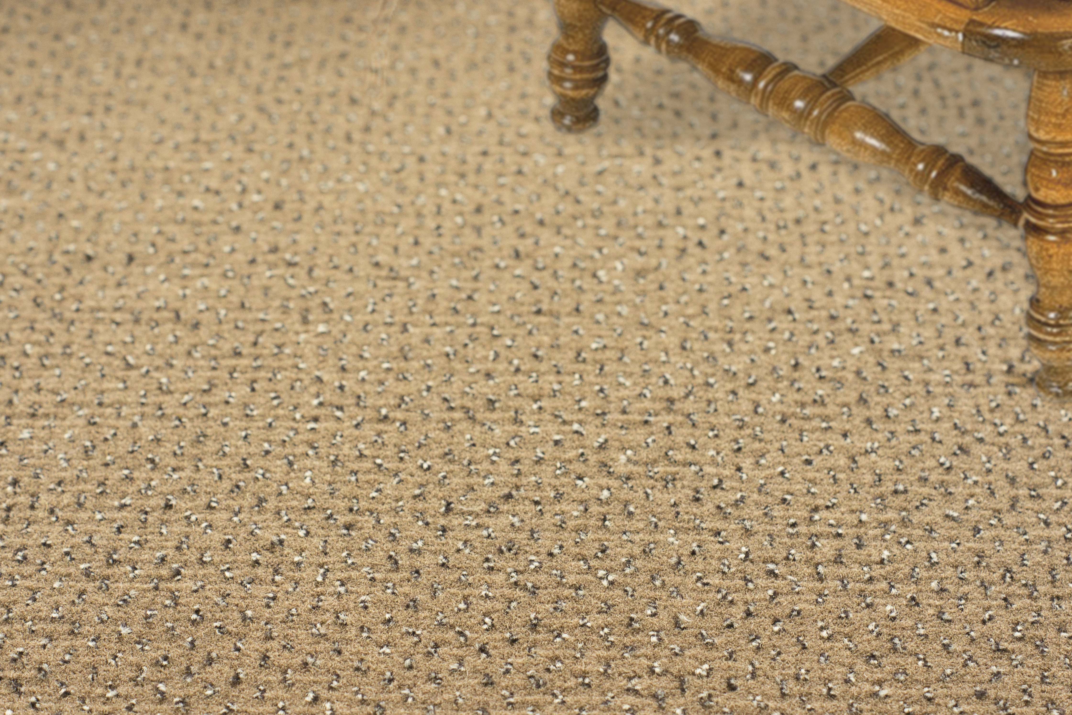 Ковролин "Зартекс" Eternity 142 бежевый (4м) — купить в Пятигорске