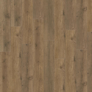 SPC ламинат "Adelar" Eterna Easy 05855 Major Oak (1220*181*5 мм) — фото и характеристики